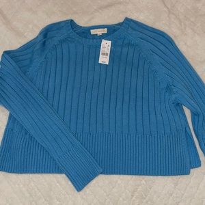 BLUE PACSUN SWEATER